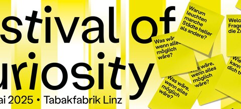 Plakat Festival of Curiosity