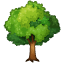 Laubbaum Emoji Whatsapp